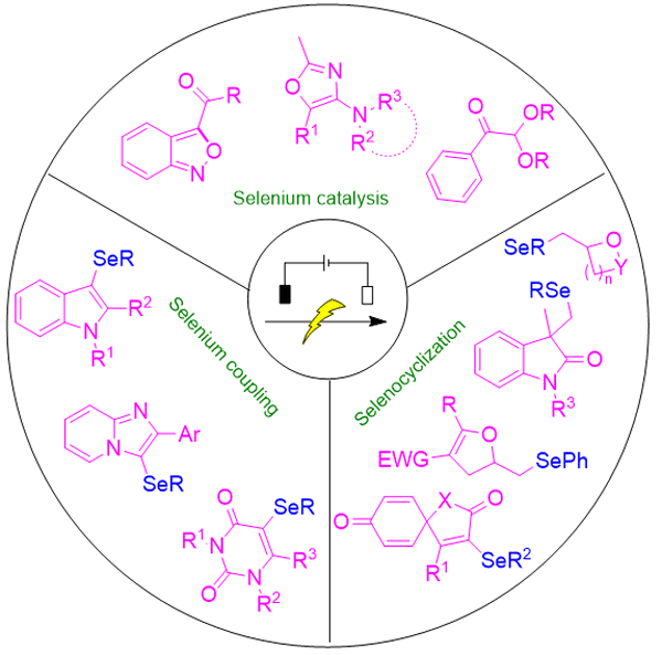 Recent Advances in Electrochemically.gif