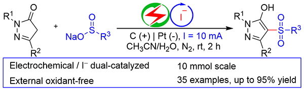 Electrochemical Dual-Catalyzed.gif