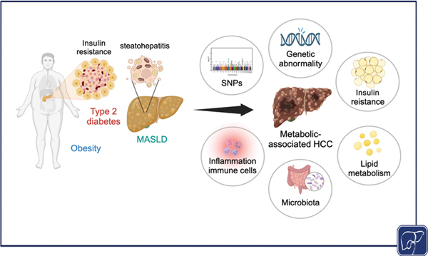 Molecular Genealogy of Metabolic.jpg