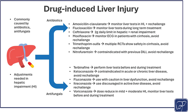 Hepatotoxicity of Antibiotics.jpg