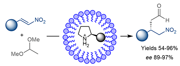 Organocatalytic Synthesis.gif