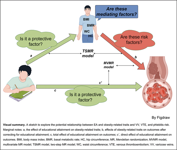 6-Obesity-Related Traits Mediate.jpg