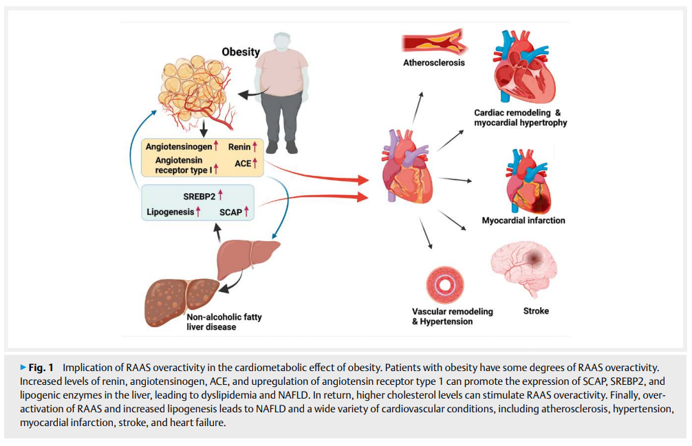 The Pathophysiological.png