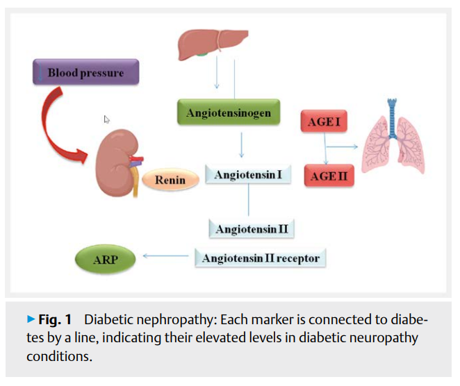 Diabetic Nephropathy 111.png